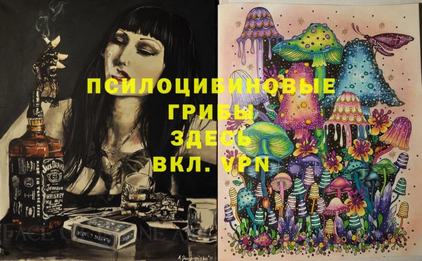 гидра Дмитриев