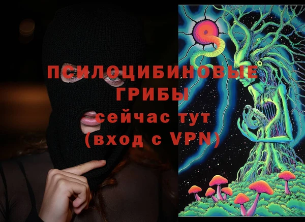 2c-b Дмитровск