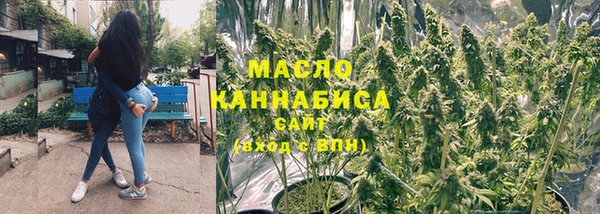 молекула духа Дмитров