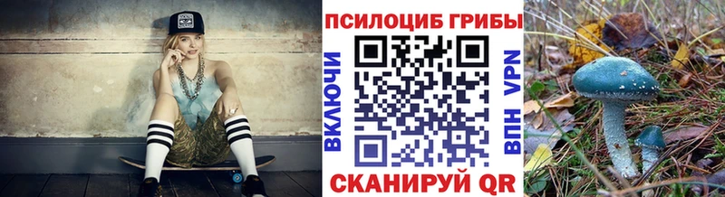 Купить  Данков  Псилоцибиновые грибы ЛСД 