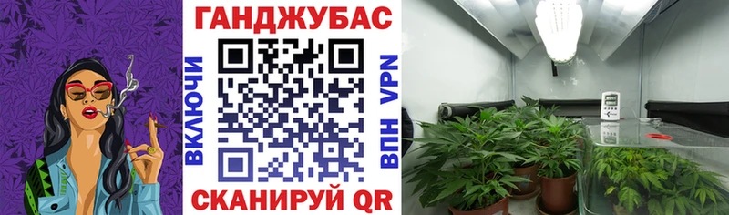 Бошки Шишки тримм  Купить закладки  Данков 